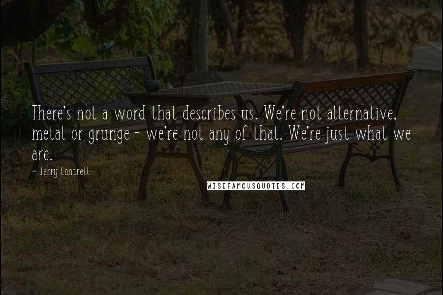 Jerry Cantrell Quotes: There's not a word that describes us. We're not alternative, metal or grunge - we're not any of that. We're just what we are.