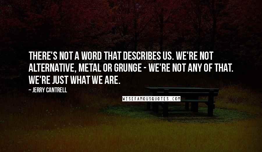 Jerry Cantrell Quotes: There's not a word that describes us. We're not alternative, metal or grunge - we're not any of that. We're just what we are.