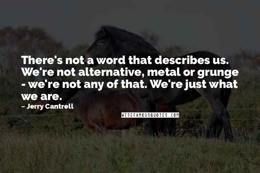 Jerry Cantrell Quotes: There's not a word that describes us. We're not alternative, metal or grunge - we're not any of that. We're just what we are.