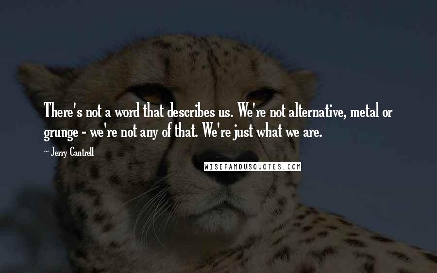 Jerry Cantrell Quotes: There's not a word that describes us. We're not alternative, metal or grunge - we're not any of that. We're just what we are.