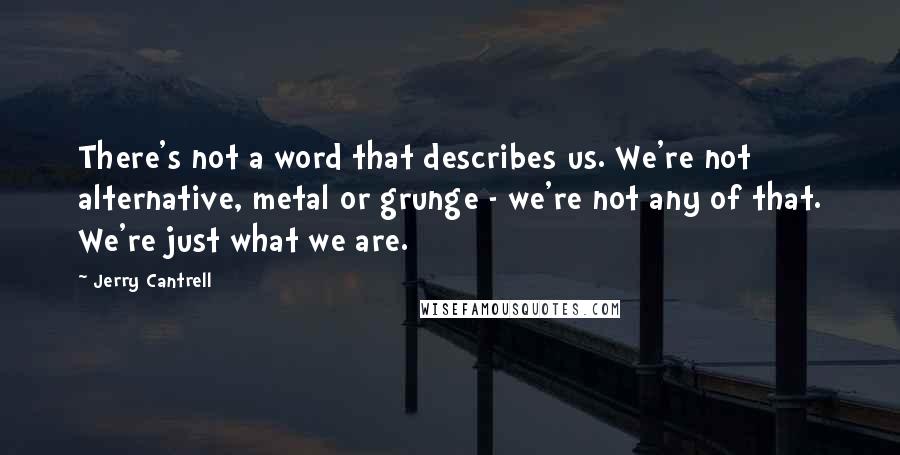 Jerry Cantrell Quotes: There's not a word that describes us. We're not alternative, metal or grunge - we're not any of that. We're just what we are.