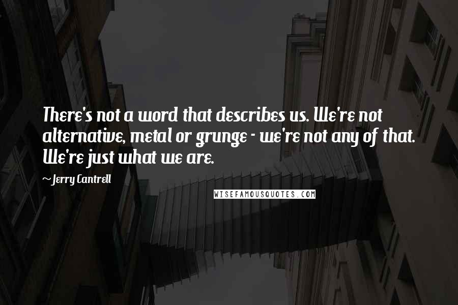 Jerry Cantrell Quotes: There's not a word that describes us. We're not alternative, metal or grunge - we're not any of that. We're just what we are.