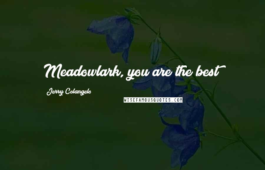 Jerry Colangelo Quotes: Meadowlark, you are the best!