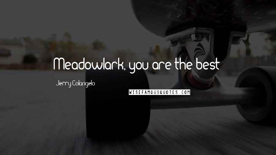 Jerry Colangelo Quotes: Meadowlark, you are the best!