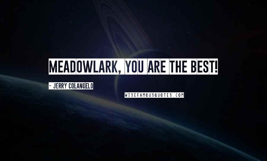 Jerry Colangelo Quotes: Meadowlark, you are the best!