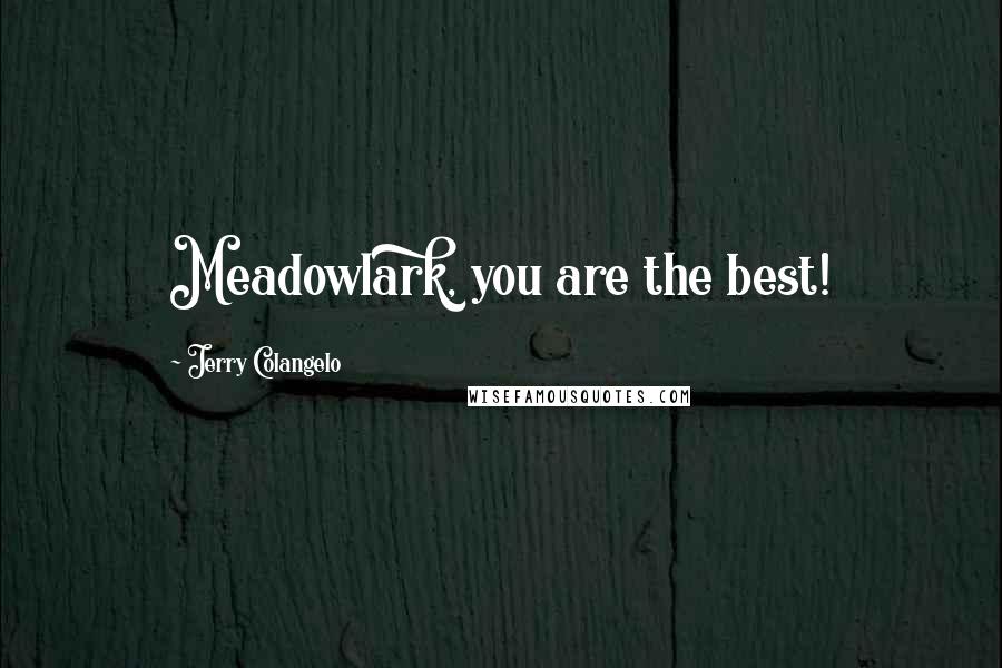 Jerry Colangelo Quotes: Meadowlark, you are the best!