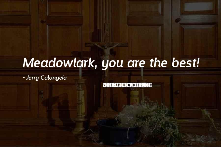 Jerry Colangelo Quotes: Meadowlark, you are the best!