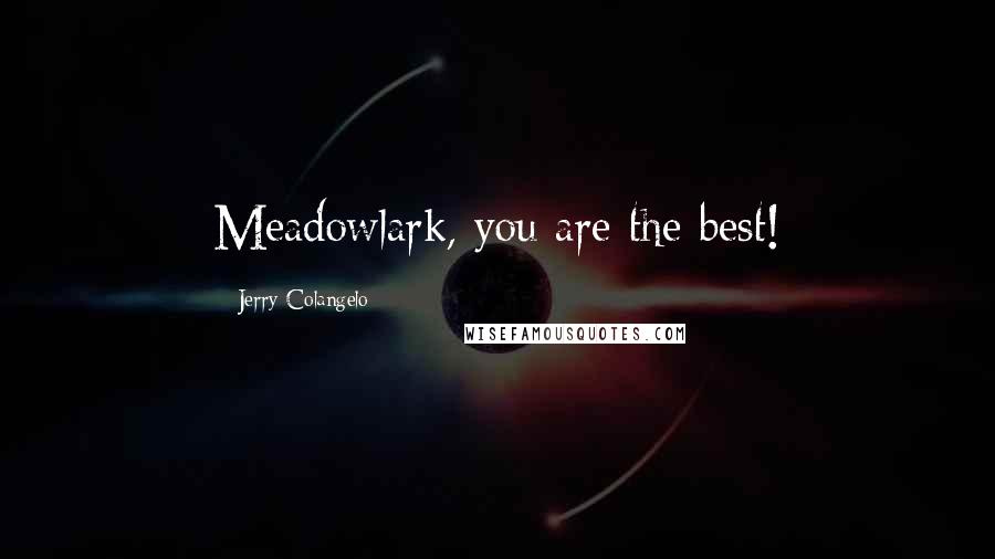 Jerry Colangelo Quotes: Meadowlark, you are the best!