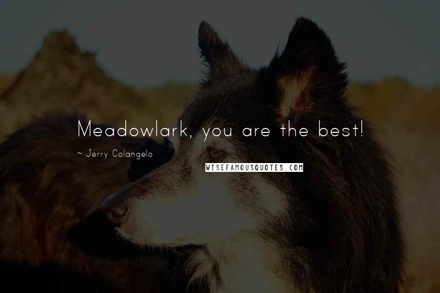 Jerry Colangelo Quotes: Meadowlark, you are the best!