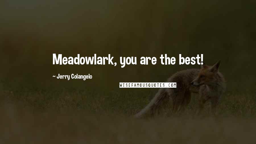 Jerry Colangelo Quotes: Meadowlark, you are the best!