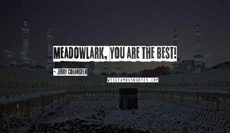 Jerry Colangelo Quotes: Meadowlark, you are the best!