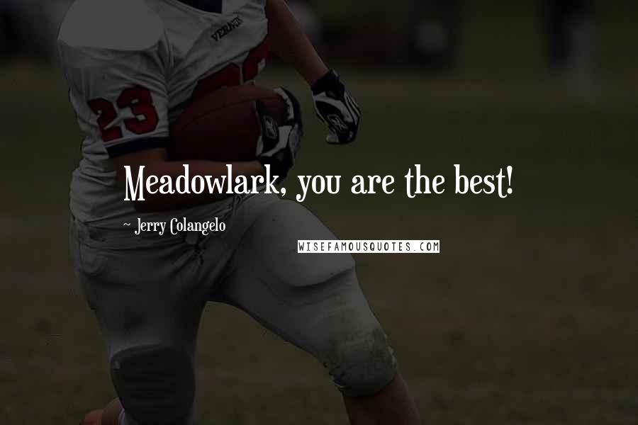 Jerry Colangelo Quotes: Meadowlark, you are the best!