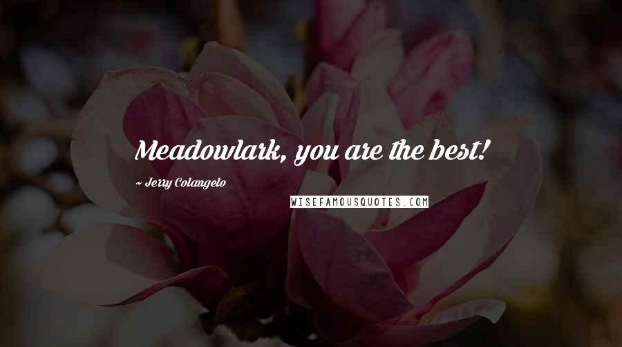 Jerry Colangelo Quotes: Meadowlark, you are the best!