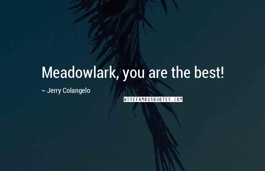 Jerry Colangelo Quotes: Meadowlark, you are the best!