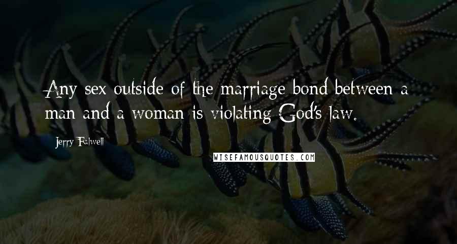 Jerry Falwell Quotes: Any sex outside of the marriage bond between a man and a woman is violating God's law.