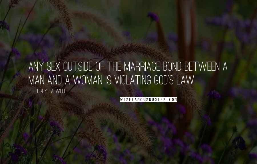 Jerry Falwell Quotes: Any sex outside of the marriage bond between a man and a woman is violating God's law.