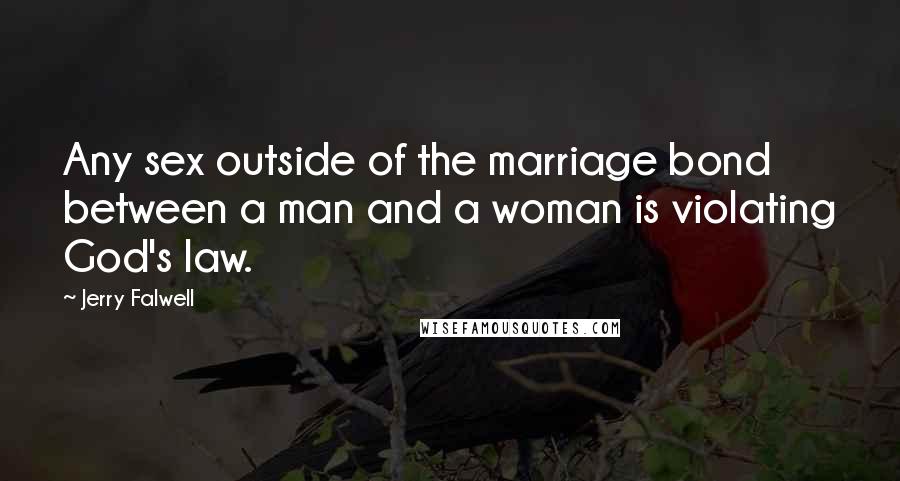 Jerry Falwell Quotes: Any sex outside of the marriage bond between a man and a woman is violating God's law.