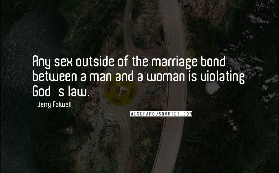 Jerry Falwell Quotes: Any sex outside of the marriage bond between a man and a woman is violating God's law.