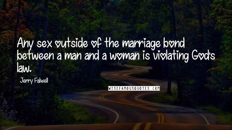 Jerry Falwell Quotes: Any sex outside of the marriage bond between a man and a woman is violating God's law.
