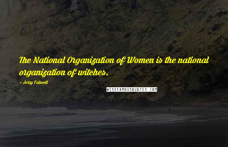 Jerry Falwell Quotes: The National Organization of Women is the national organization of witches.