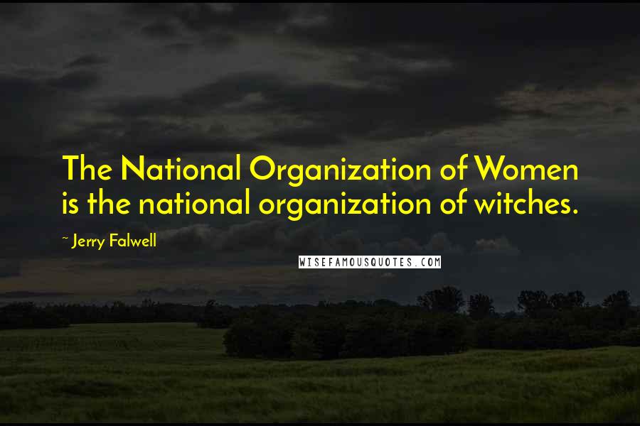 Jerry Falwell Quotes: The National Organization of Women is the national organization of witches.