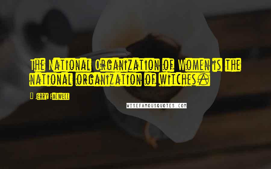 Jerry Falwell Quotes: The National Organization of Women is the national organization of witches.