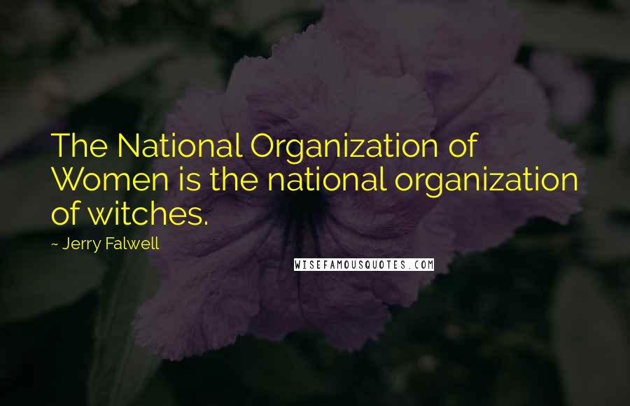 Jerry Falwell Quotes: The National Organization of Women is the national organization of witches.