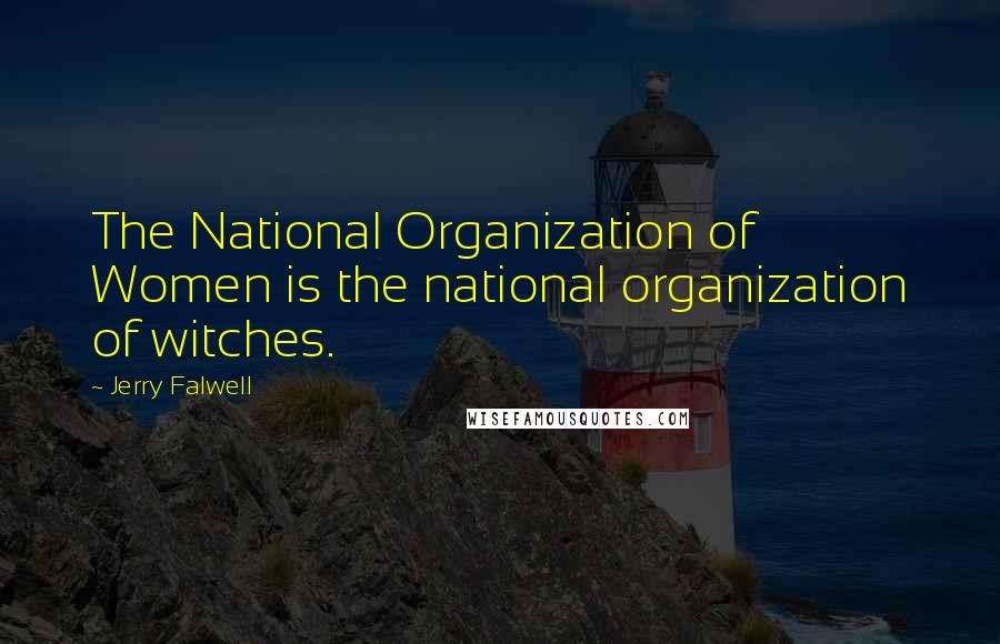 Jerry Falwell Quotes: The National Organization of Women is the national organization of witches.