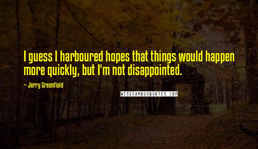 Jerry Greenfield Quotes: I guess I harboured hopes that things would happen more quickly, but I'm not disappointed.