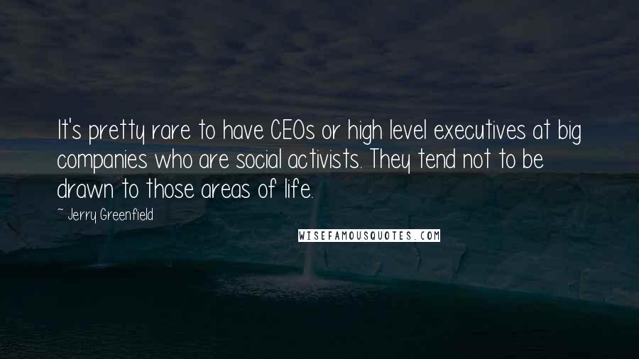 Jerry Greenfield Quotes: It's pretty rare to have CEOs or high level executives at big companies who are social activists. They tend not to be drawn to those areas of life.