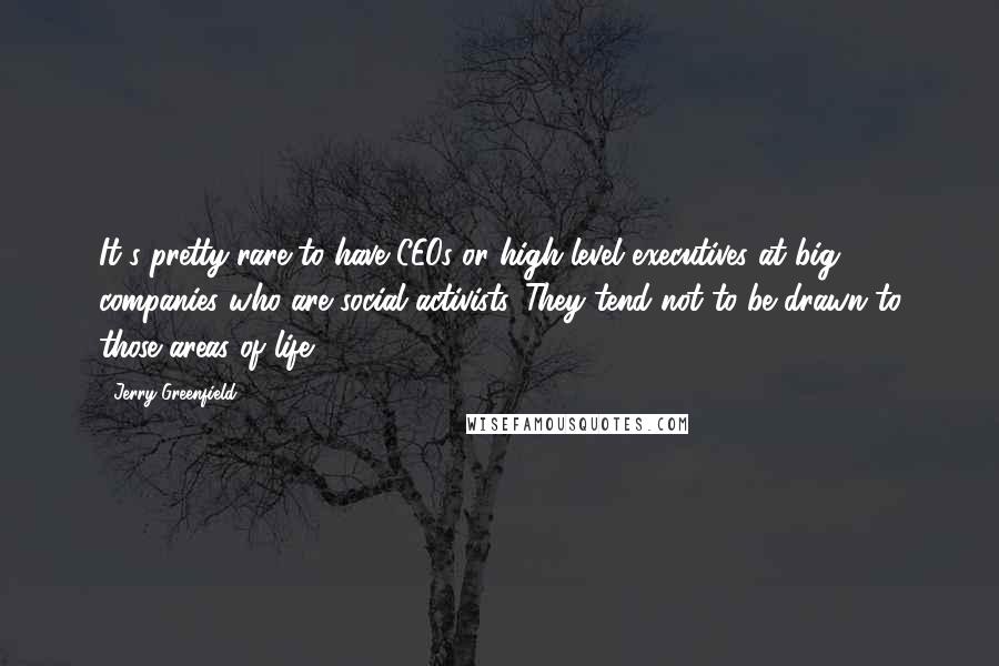 Jerry Greenfield Quotes: It's pretty rare to have CEOs or high level executives at big companies who are social activists. They tend not to be drawn to those areas of life.