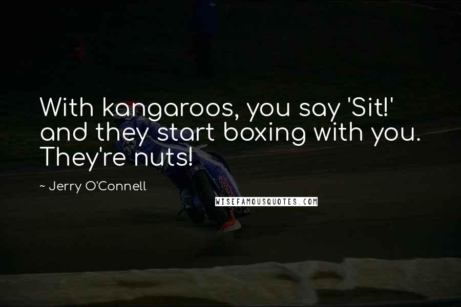 Jerry O'Connell Quotes: With kangaroos, you say 'Sit!' and they start boxing with you. They're nuts!