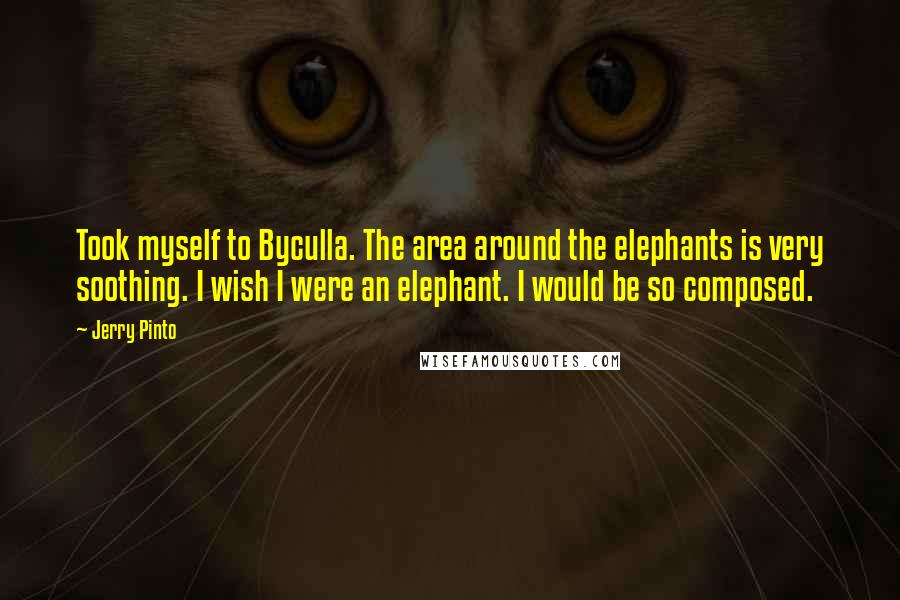 Jerry Pinto Quotes: Took myself to Byculla. The area around the elephants is very soothing. I wish I were an elephant. I would be so composed.