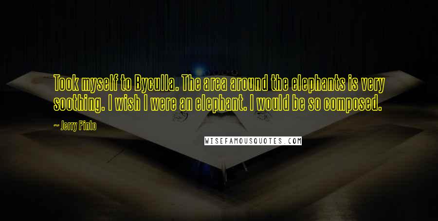 Jerry Pinto Quotes: Took myself to Byculla. The area around the elephants is very soothing. I wish I were an elephant. I would be so composed.