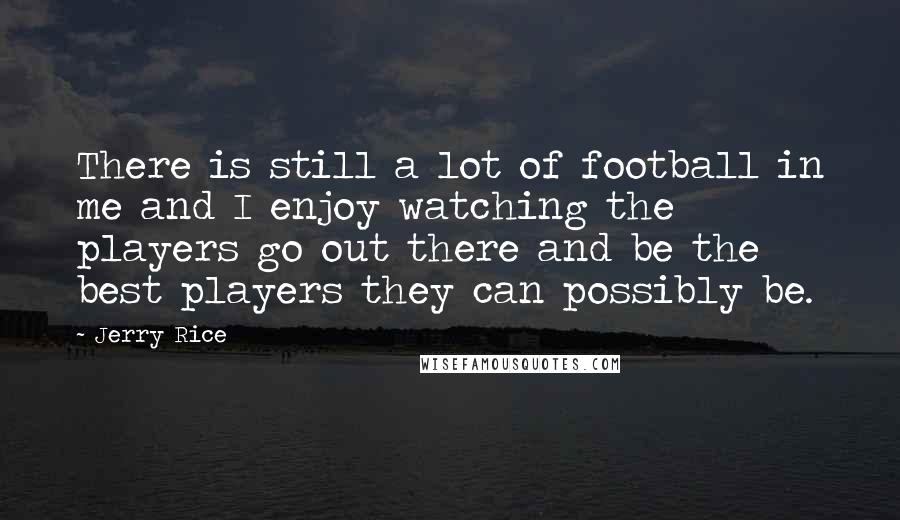 Jerry Rice Quotes: There is still a lot of football in me and I enjoy watching the players go out there and be the best players they can possibly be.