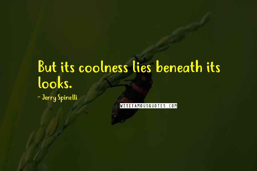 Jerry Spinelli Quotes: But its coolness lies beneath its looks.