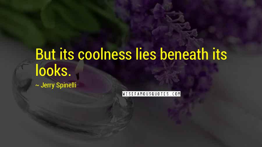 Jerry Spinelli Quotes: But its coolness lies beneath its looks.