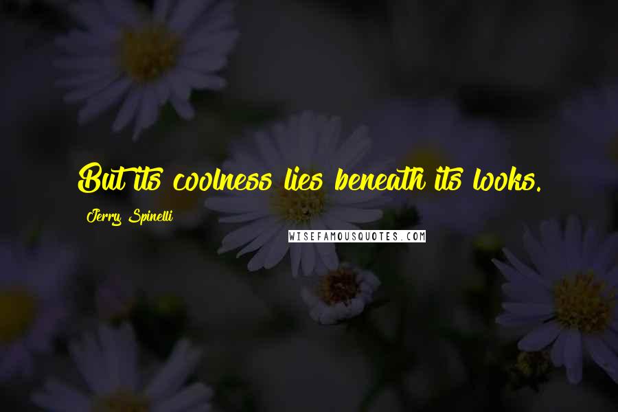 Jerry Spinelli Quotes: But its coolness lies beneath its looks.