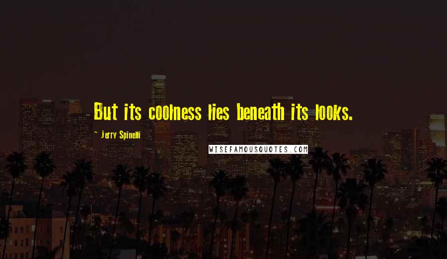 Jerry Spinelli Quotes: But its coolness lies beneath its looks.