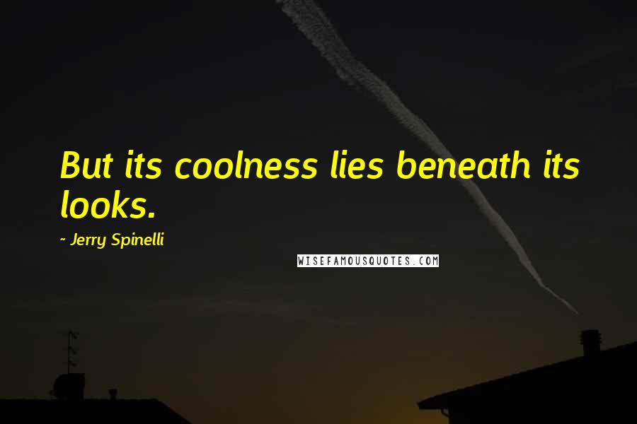 Jerry Spinelli Quotes: But its coolness lies beneath its looks.