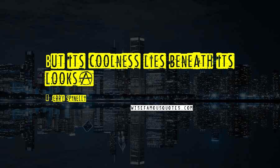 Jerry Spinelli Quotes: But its coolness lies beneath its looks.