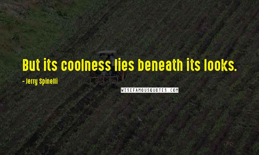 Jerry Spinelli Quotes: But its coolness lies beneath its looks.