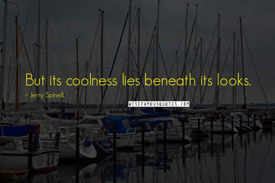 Jerry Spinelli Quotes: But its coolness lies beneath its looks.