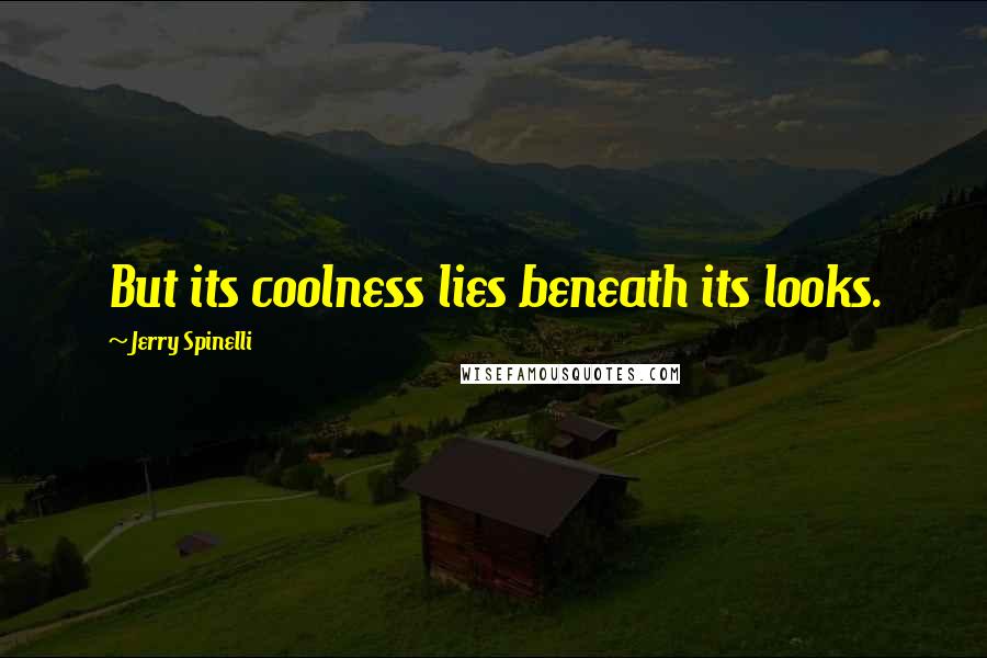 Jerry Spinelli Quotes: But its coolness lies beneath its looks.