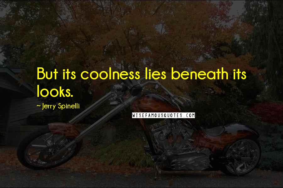 Jerry Spinelli Quotes: But its coolness lies beneath its looks.