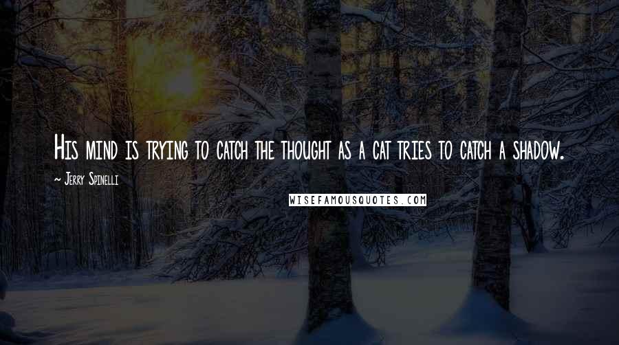 Jerry Spinelli Quotes: His mind is trying to catch the thought as a cat tries to catch a shadow.