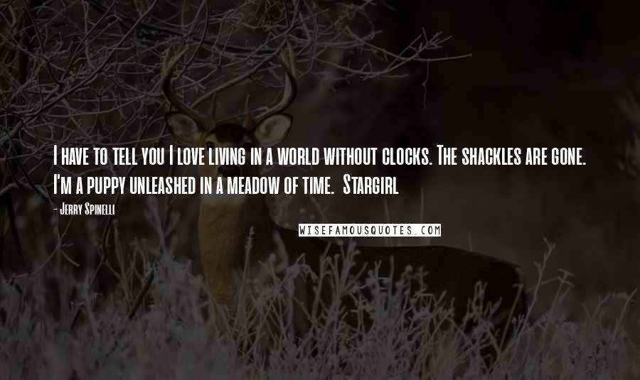 Jerry Spinelli Quotes: I have to tell you I love living in a world without clocks. The shackles are gone. I'm a puppy unleashed in a meadow of time.  Stargirl