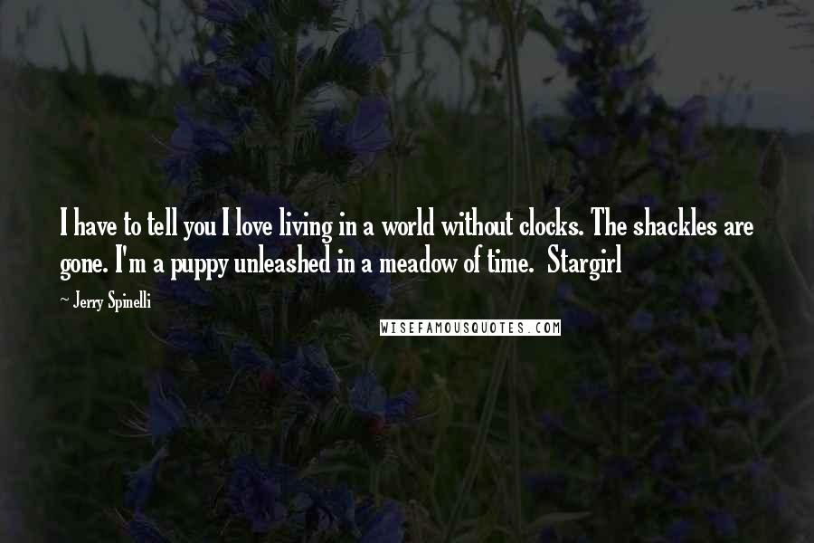 Jerry Spinelli Quotes: I have to tell you I love living in a world without clocks. The shackles are gone. I'm a puppy unleashed in a meadow of time.  Stargirl