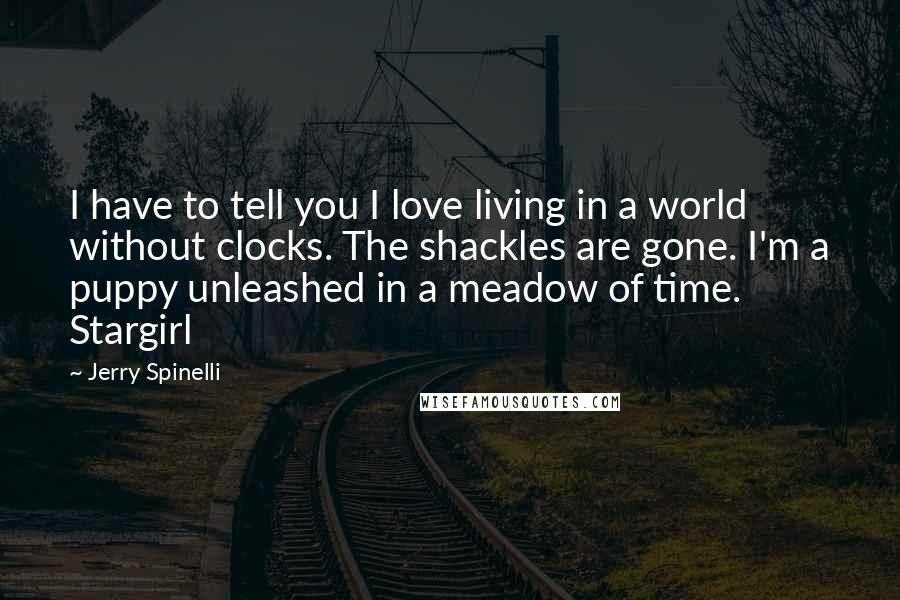 Jerry Spinelli Quotes: I have to tell you I love living in a world without clocks. The shackles are gone. I'm a puppy unleashed in a meadow of time.  Stargirl