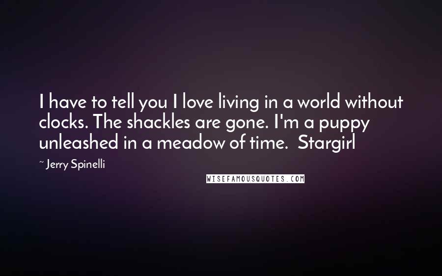 Jerry Spinelli Quotes: I have to tell you I love living in a world without clocks. The shackles are gone. I'm a puppy unleashed in a meadow of time.  Stargirl